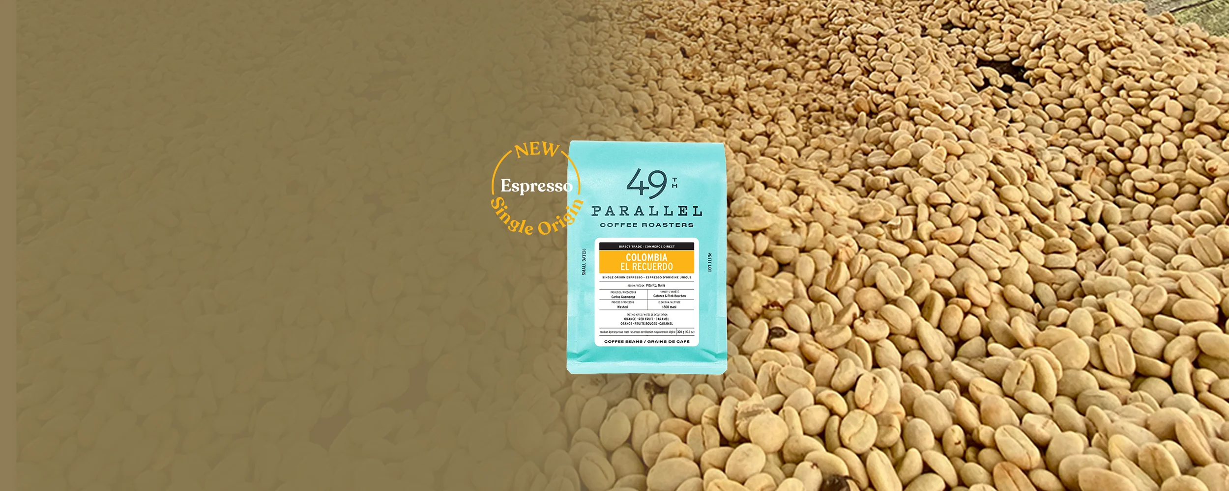 Exceptional Coffee for Curious Minds